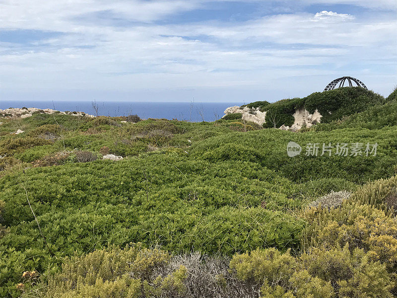 西班牙- Menorca - cavalleria(灯塔)附近的植被